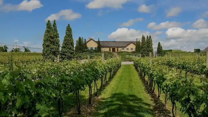 Collines et vignobles des Cantons-de-l'Est