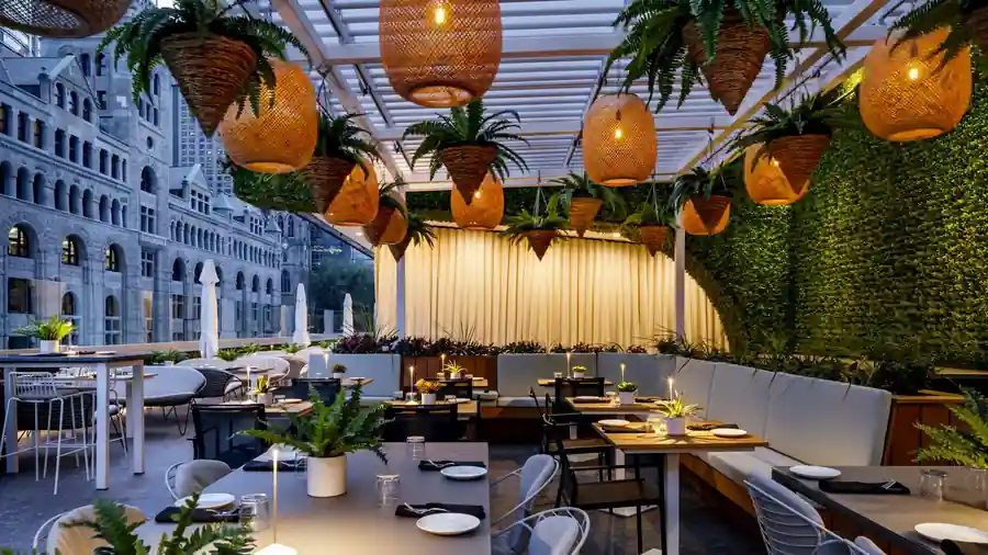 Expérience VIP au Québec