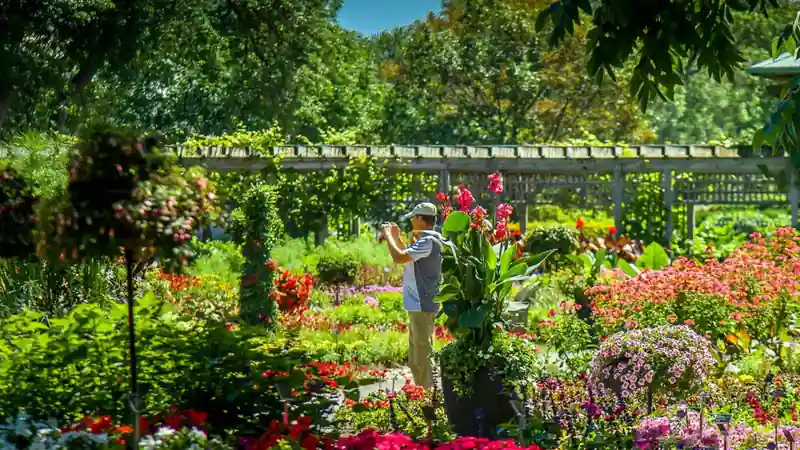 Printemps au Québec, fleurs et jardins